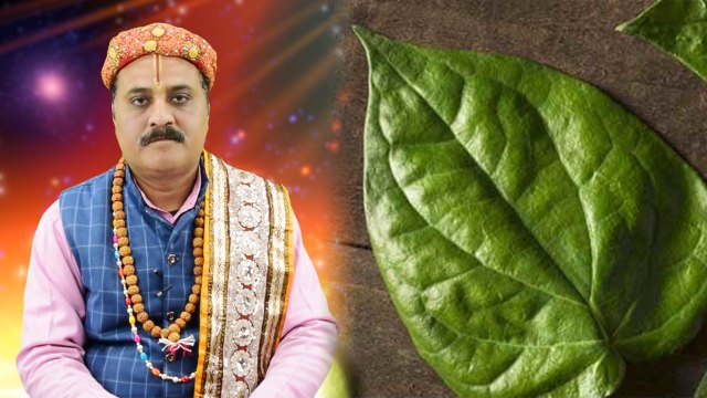 Importance of Paan in Hinduism: पूजा में इसलिए महत्वपूर्ण होते हैं पान के पत्ते | Boldsky