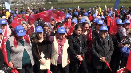 Aydın'da 40 sakız koyunu dağıtıldı