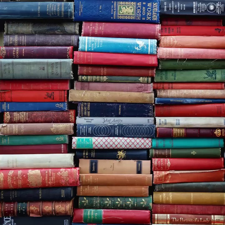 Estos son los libros feministas imprescindibles