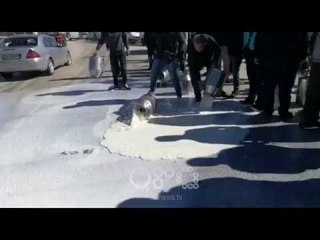 Ora News – Protesta në Lushnje, shikoni si e hedhin qumështin