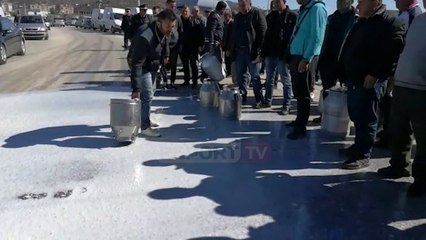 Report TV - Lushnje/ Fermerët në protestë, derdhin qumështin në rrugë