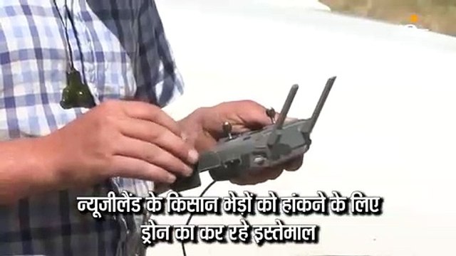 न्यूजीलैंड के किसान भेड़ों को हांकने और चारा-पानी पता लगाने में ड्रोन का कर रहे इस्तेमाल