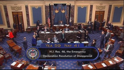 Congress votes to reverse Trump's declaration on border wall