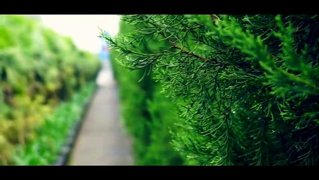 HEAVEN OF MALAYSIA ◆ EXPLORING A TEMPLE IN THE MOUNTAINS ◆ GENTING HIGHLANDS 2017