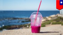 Taiwan implements one of the world's toughest bans on plastic