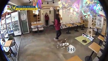 ※목걸이-스카프를 주목※ 고양이 캐슬의 별난(?) 아이들이 있다?!