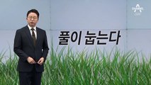 [3월 15일 클로징멘트] 바람 불기도 전에 풀이 눕는다