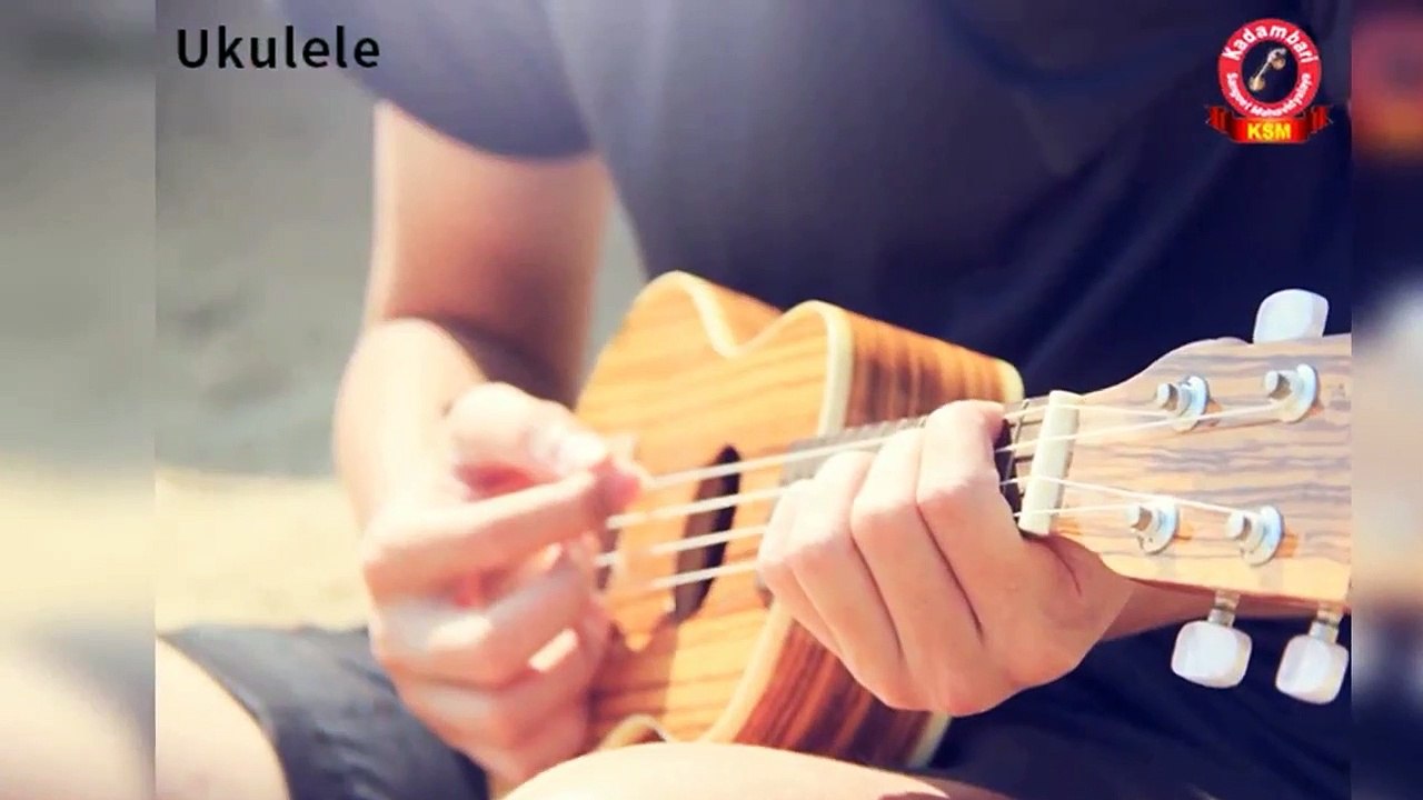 10 Best String Instrumentswe