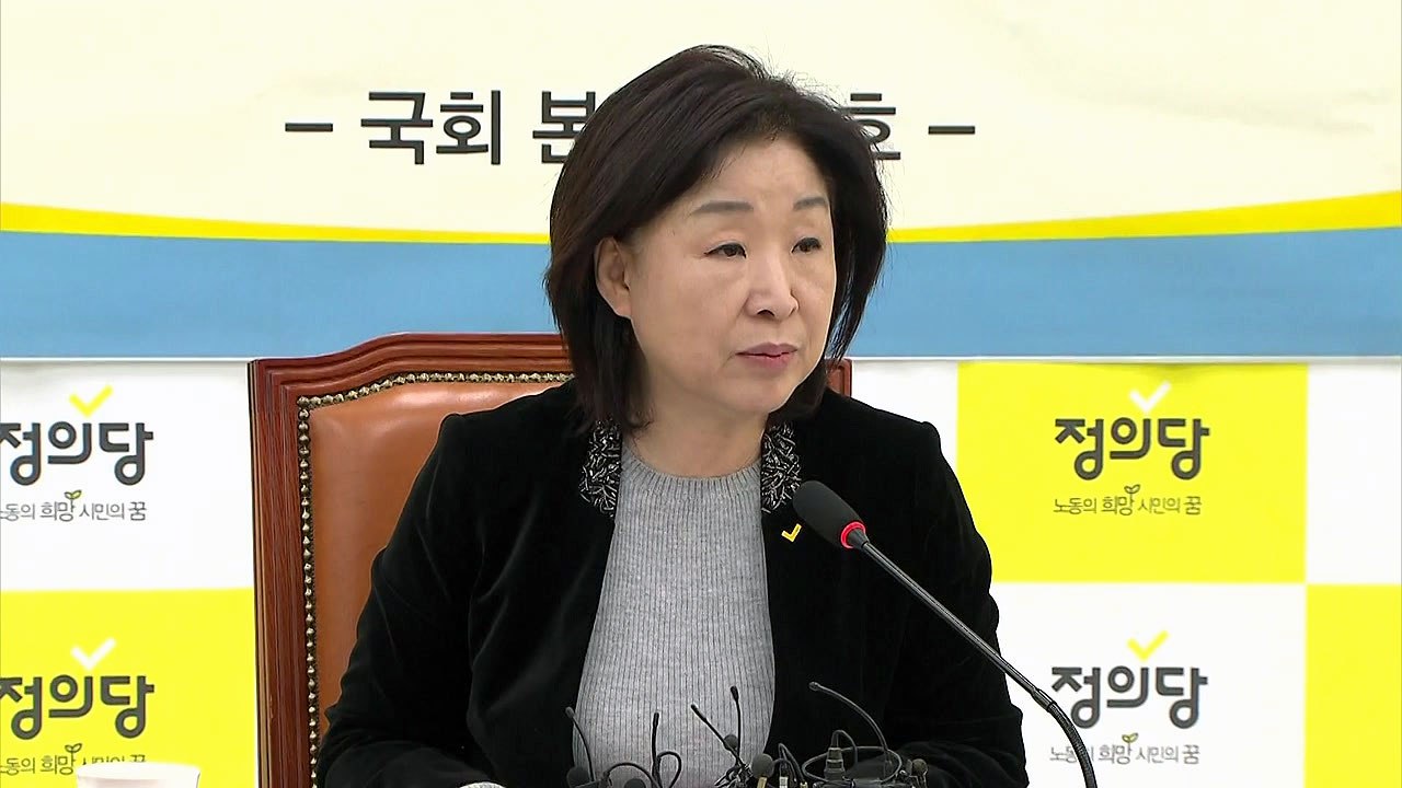 심상정 "선거제도 개혁 큰 틀 합의...이른 시일 내 결론" / YTN
