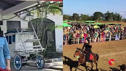 ျမင္းေတြကို ခ်စ္တဲ့ ျမင္းတို႔ရဲ႕သခင္မ(႐ုပ္/သံ)