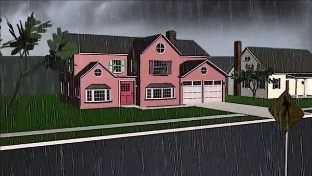 Mold Inspection, Remediation and Removal