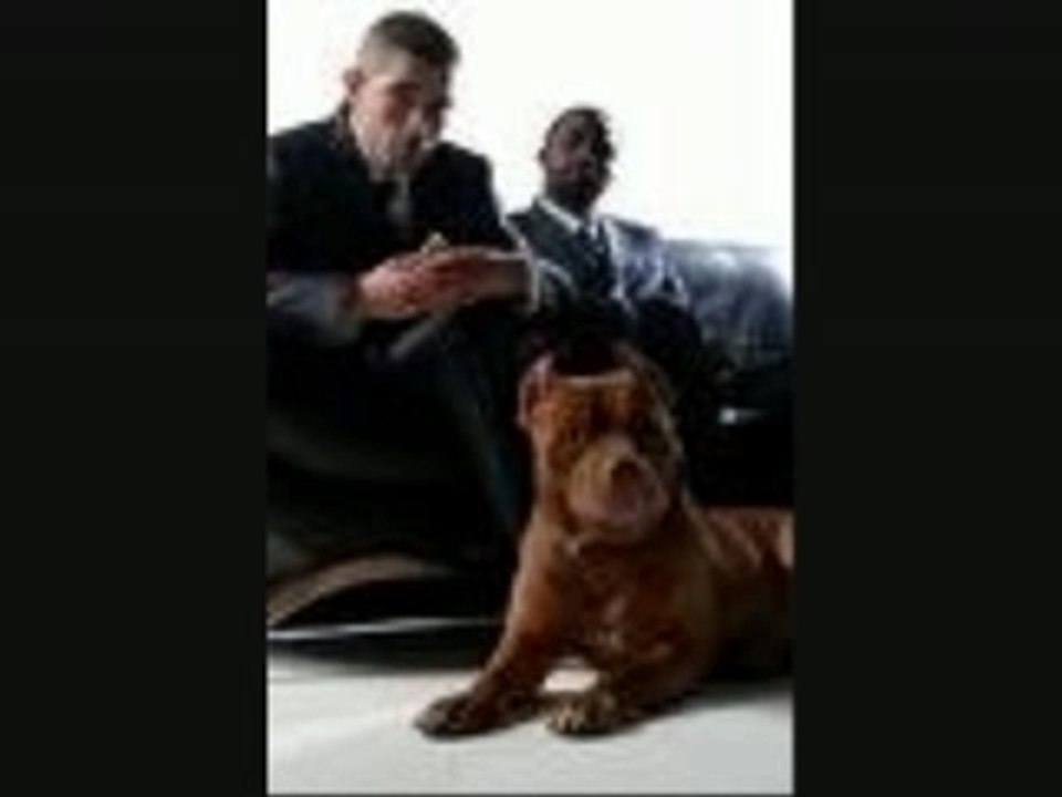 demon one j'étais comme eux