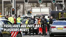 Pays-Bas : plusieurs morts dans une fusillades à Utrecht