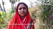Plight of Magahi paan farmers