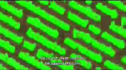 "Pottu (2019)" "Full|Movie'