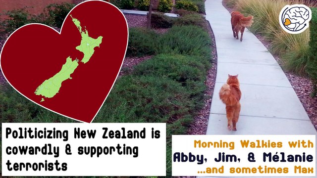 Politicizing New Zealand is cowardly & supporting terrorists -Walkies with Abby