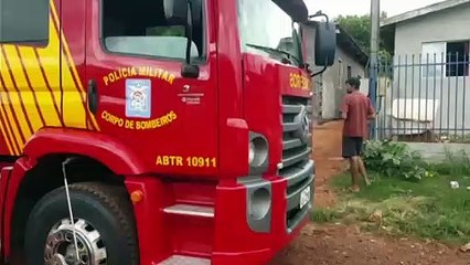 Corpo de Bombeiros realizam captura de cão alterado