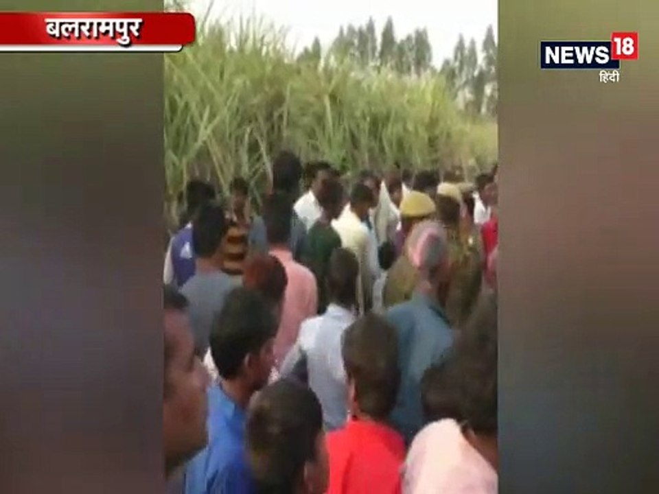 यूपी के बलरामपुर में गन्ने के खेत में घुसे तेन्...