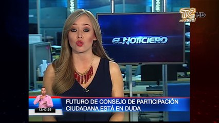 Futuro de Consejo de Participación Ciudadana está en duda