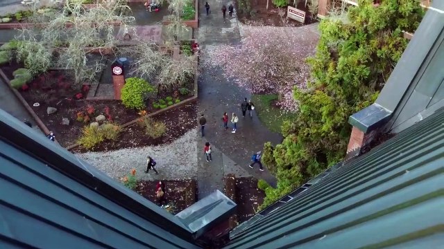 Pretty Little Liars: The Perfectionists Murder Mystery Featurette (2019)