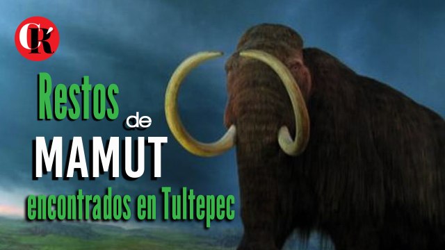 Restos de Mamut encontrados en Tultepec