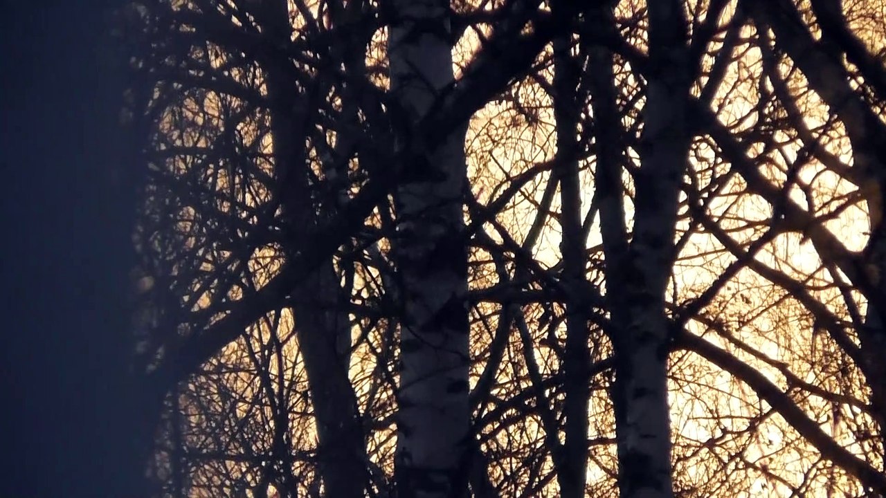Feb 26 2019 DL2