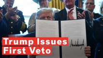 Trump Issues First Veto After Congress Votes To Block National Emergency