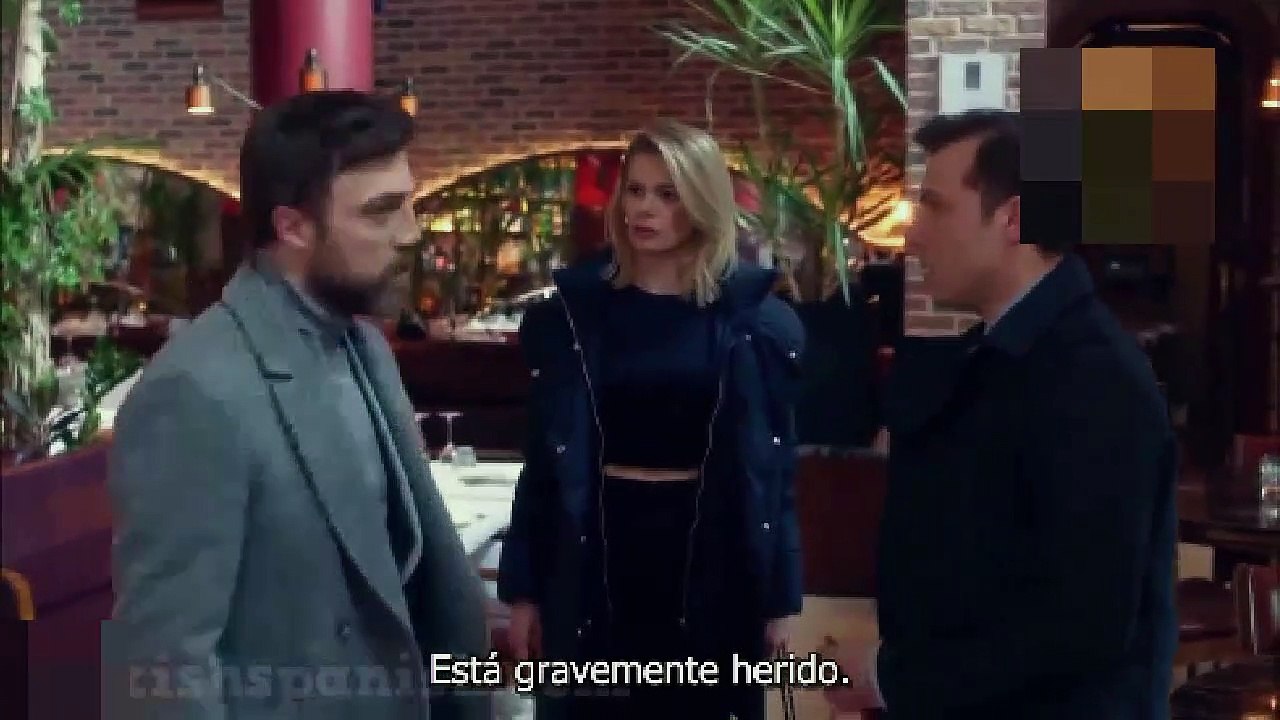 Cuervo Novela Turca En Audio Español