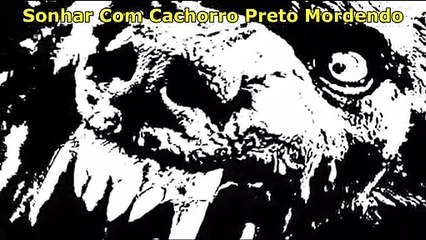 sonhar com cachorro preto mordendo o que significa