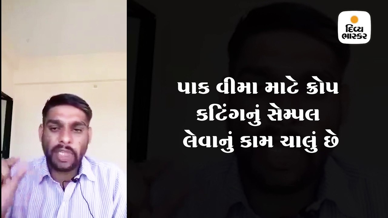 ખેડૂતો કઈ રીતે પાક વીમાનું 100% વળતર લઈ શકે? જા...