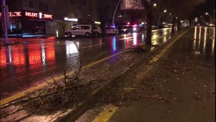 Alkollü Sürücü Park Halindeki Araçlara Çarptı