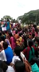 Udumalpet student protest against pollachi issue