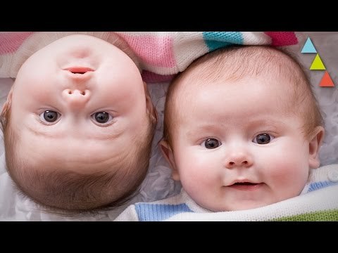 10 cosas que no sabías de los gemelos y mellizos