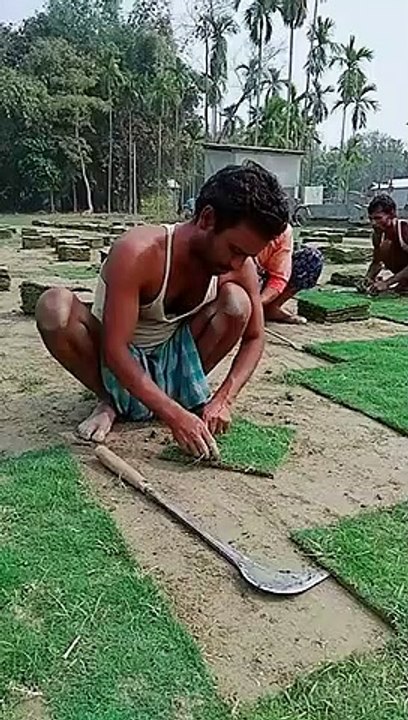 Grassmat preparing for cricket match