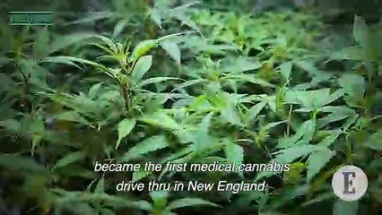 This Week in Weed: You Won't Believe Our Last Story!