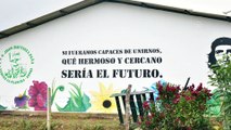 Eski FARC mensuplarının 'sivil hayata entegrasyon' çalışmaları devam ediyor - KOLOMBİYA
