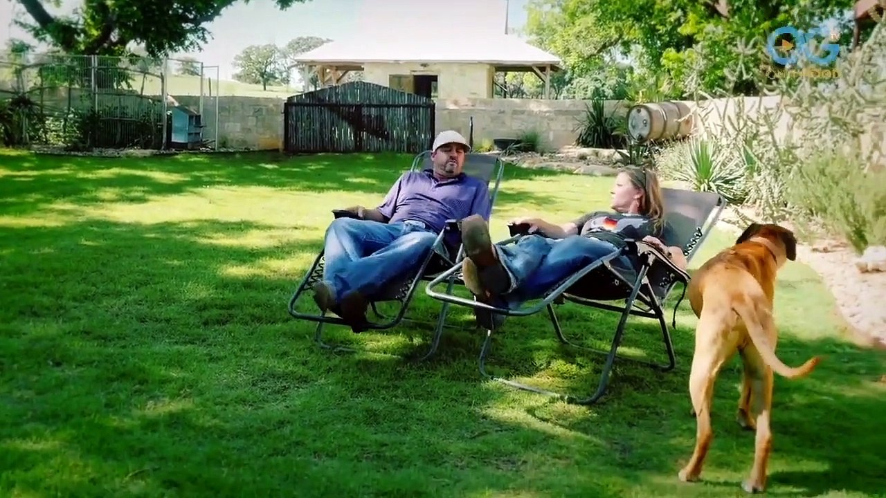 Veterinarian’s Home is Wildlife Rescue for Animals of All Kinds (Dr. Amy Jo’s Wild Life 2)