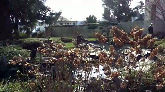 LES W-D.D. MICHOU NEWS - 1er MARS 2019 - PAU - LE PRINTEMPS EST À NOTRE PORTE