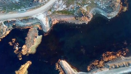 'Esrarengiz fareler' Ağrı Dağı'nı sevdi - IĞDIR