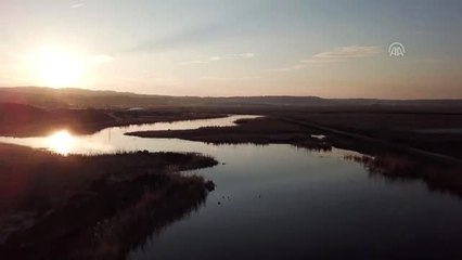 Esrarengiz Fareler" Ağrı Dağı'nı Sevdi
