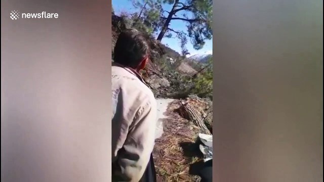 The hills are alive! Landslide footage shows hillside slowly swallow road in north India