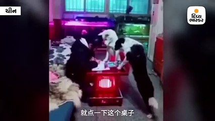 વાઈરલ થયો અનોખા ટ્યૂટરનો વિડિયો, દિકરીને હોમવર્ક કરાવવા કર્યો આવો જુગાડ