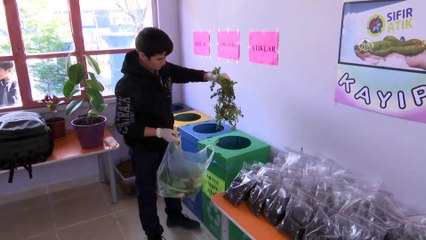 Evlerden atık toplayıp okulda solucan gübresi üretiyorlar - SAMSUN