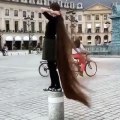 Girl Long Hair | girl long hair to bald | girl long hair dance | funvid tiktok