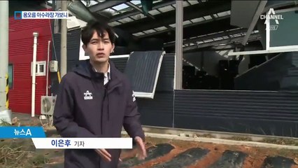 육지 휩쓴 ‘용오름’…인근 상점·아파트도 ‘아수라장’