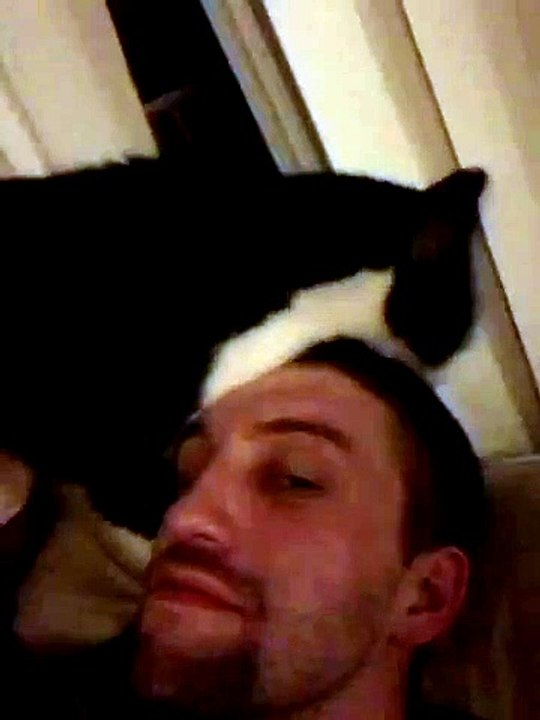 Uuumm - Epic Cat Bath