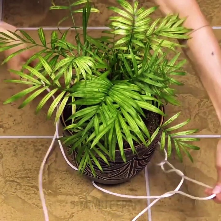 11 NŒUDS MAGIQUES EN MACRAME