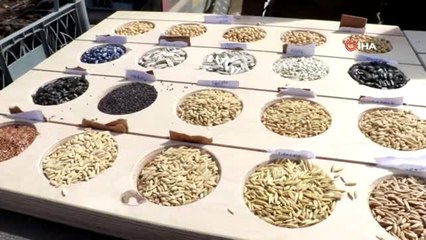 Edirne'de 1. Tohum Takas Şenliği Gerçekleşti