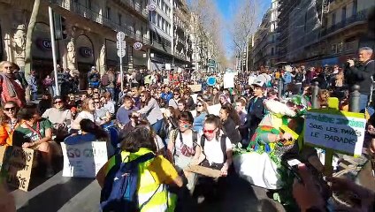 Marseille : les manifestants pour le climat improvisent un sit-in sur la Canebière