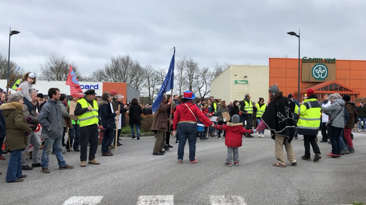 Manifestation pour le climat : 500 personnes dans la rue